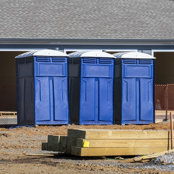 how often are the porta potties cleaned and serviced during a rental period in Wells Bridge New York